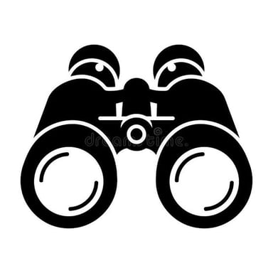 A person using binoculars while conducting surveillance.