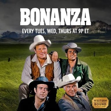 The Cartwright family’s Ponderosa ranch as depicted in the TV series *Bonanza*.