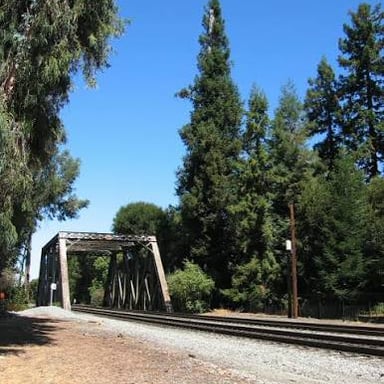 El Palo Alto, the landmark redwood associated with the name of Palo Alto, California.