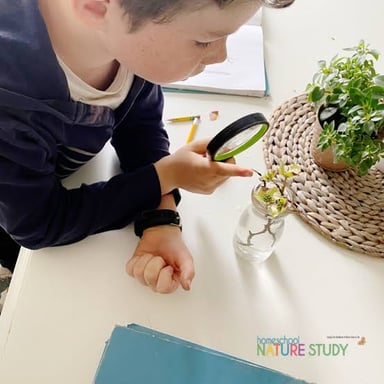 A person closely inspecting an object with a magnifying glass.
