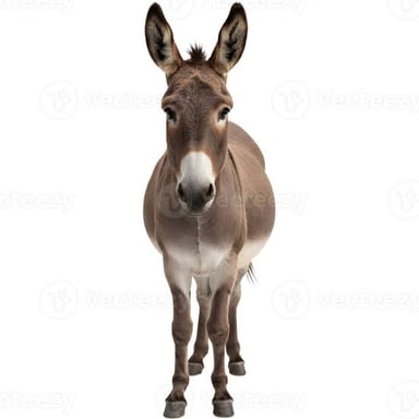 A donkey with its ears standing upright