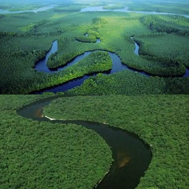 The Congo River winding through the rainforest of Central Africa.