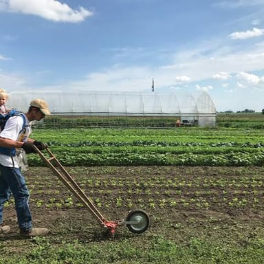 A farmer planting seeds in a field of vegetables
