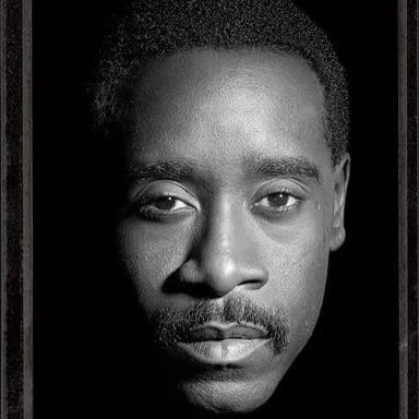 Actor Don Cheadle.