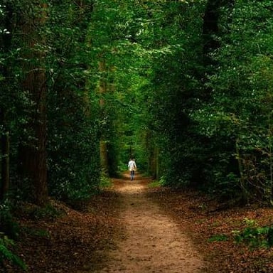 A person walking at an unhurried pace along a path.