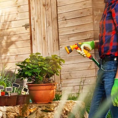 A housesitter caring for plants inside someone else’s home.