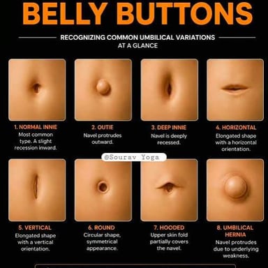 A simple comparison showing a protruding outie navel and an inward innie navel.
