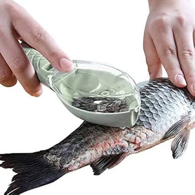 A fish being scraped to remove its scales