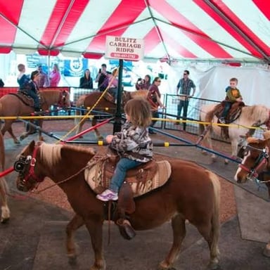 Children riding ponies at an outdoor fair