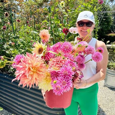 A cluster of colorful dahlias showing their layered petals.