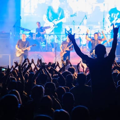 A concertgoer cheering for a band onstage.