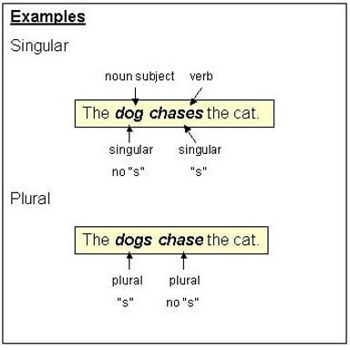 A simple grammar example contrasting “is” for one subject with “are” for multiple subjects.