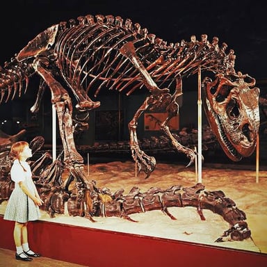 A Tyrannosaurus rex skeleton with its small forelimbs visible.