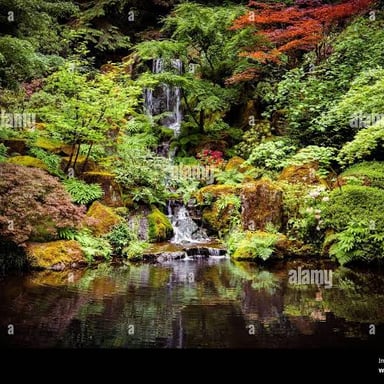 A quiet garden with still water and lush greenery.