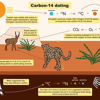 A scientific illustration connecting carbon-14 dating with a carbon dioxide molecule.