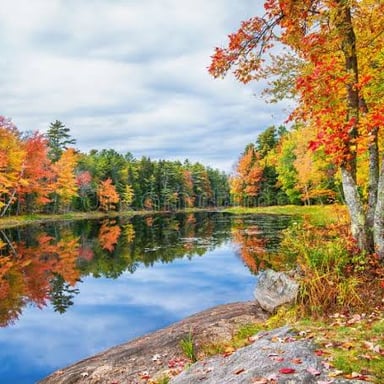 A calm, still lake in a quiet landscape.