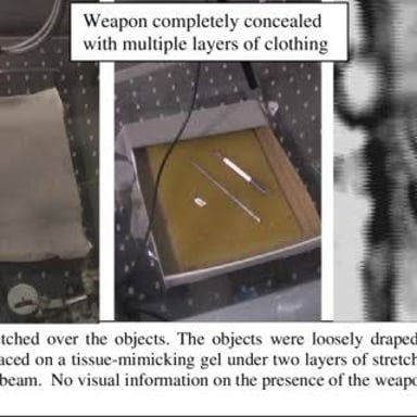 An object hidden beneath a covering cloth