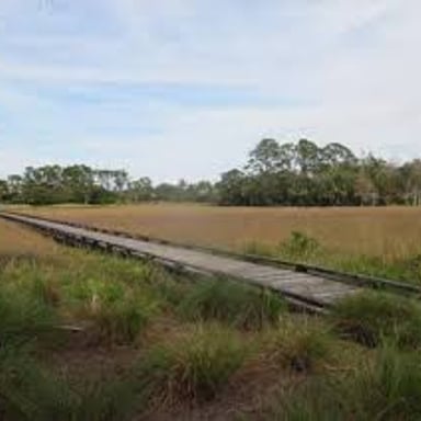 A wide Florida landscape with low, level terrain and little change in elevation.