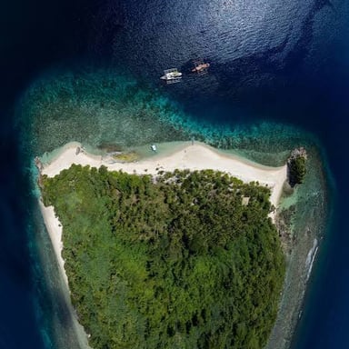 A small island rising above the surrounding sea.