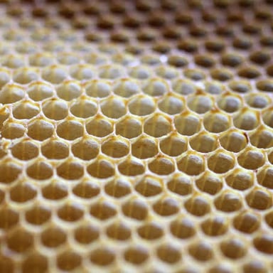 A close-up view of honeycomb made from beeswax