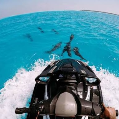 A person riding a jet ski across open water.