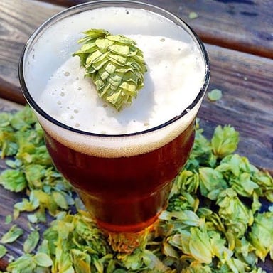 A glass of India pale ale alongside hop cones.