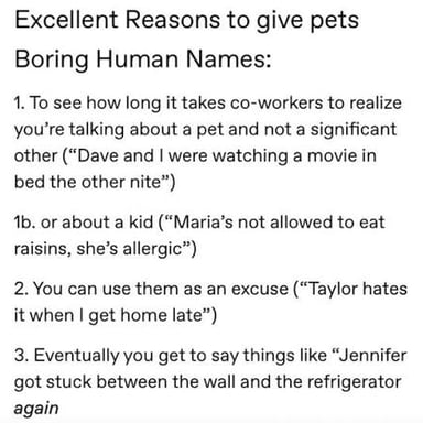 A person choosing a name for a pet