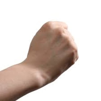 The closed-fist hand gesture used to represent rock in rock, paper, scissors.