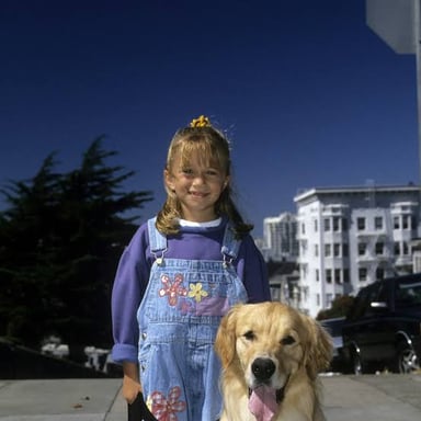 Buddy, the golden retriever who portrayed Comet on Full House.
