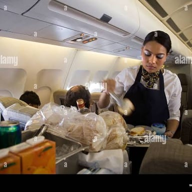 A meal tray on an airplane seatback table, representing airline food.