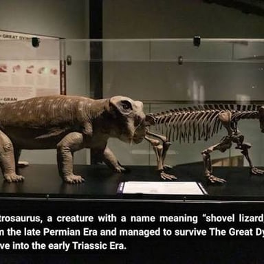 A fossil skeleton, illustrating the connection between paleo and ancient life.