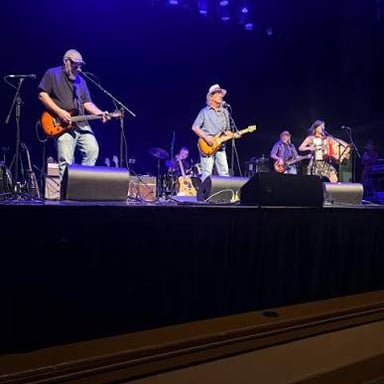 A live music scene representing alternative country and alternative rock styles
