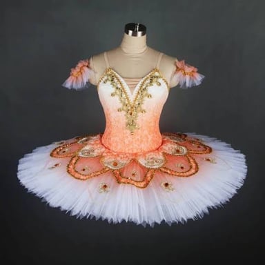 A ballet dancer wearing a tutu.