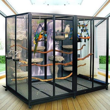 A bird inside a cage, an enclosure that can serve as its shelter.