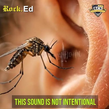 A mosquito, a familiar kind of pest.