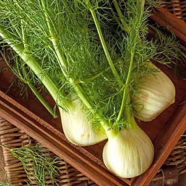 Fennel seeds beside a fresh fennel bulb and its feathery leaves.