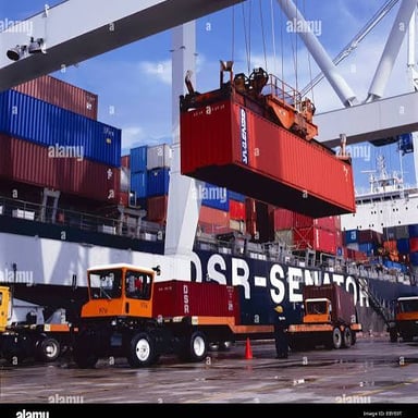 Cargo containers being inspected at a port customs facility.