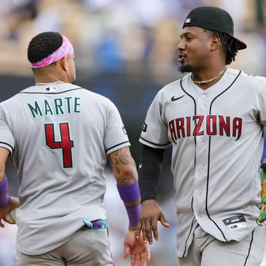 The Arizona Diamondbacks, the baseball team referred to as the D-backs.