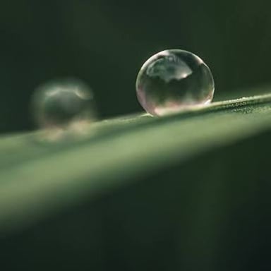 Single bead of water photographed close up.