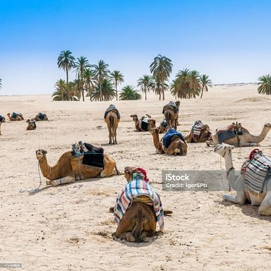 Camels near a green oasis in a desert