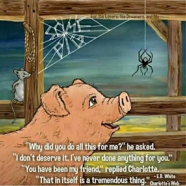 A young pig in a farm pen, evoking Wilbur’s home in Charlotte’s Web.