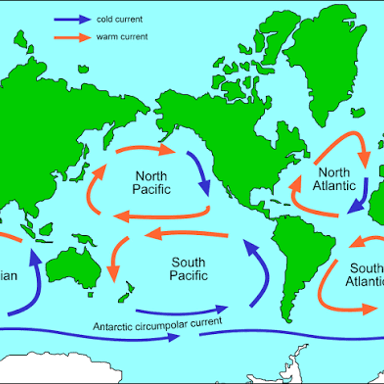 A world map showing the major circular systems of surface ocean currents.