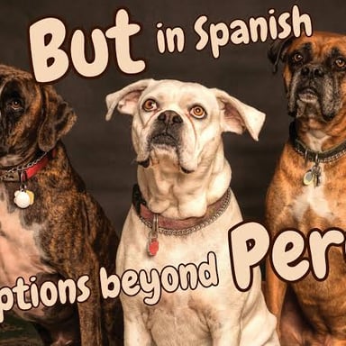 Spanish-language text featuring the conjunction “pero.”