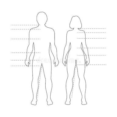 A simple human silhouette illustrating the informal word “bod” for a body.