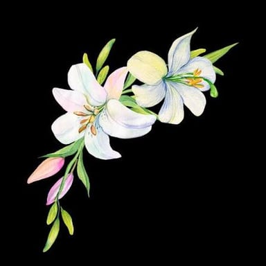 White lily used as a visual symbol of purity.