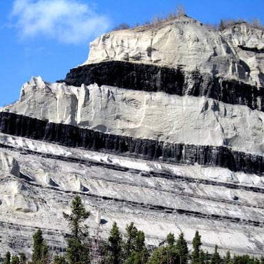 A mineral-rich seam visible in exposed rock