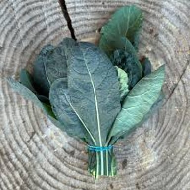Fresh kale leaves, including curly and flatter varieties.
