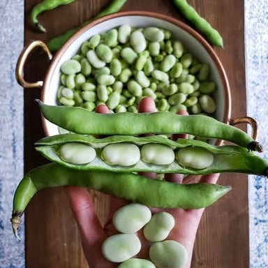 Broad green fava beans shown in pods and shelled.