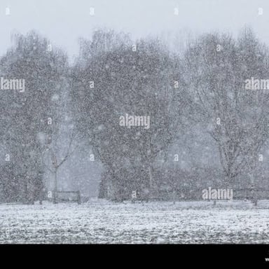 Snowflakes falling through the air in a winter snowfall.