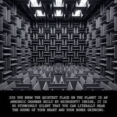 An empty, quiet room suggesting not a single sound.